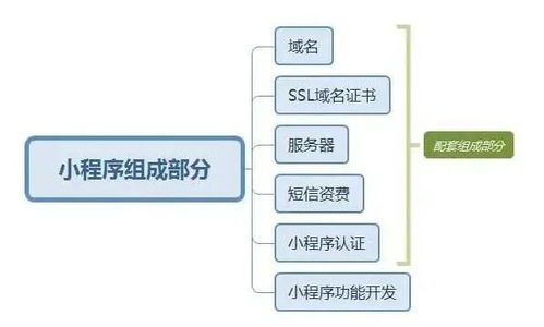 第三方多开工具：专业解决方案的选择与使用