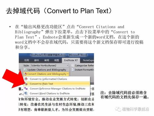 操作技巧与进阶策略