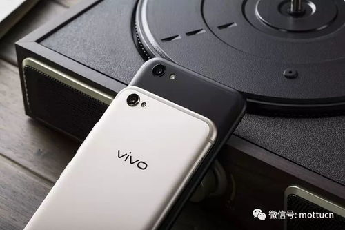 三、vivo手机游戏下载的安全注意事项