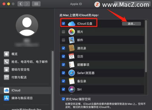 利用iCloud进行游戏数据同步