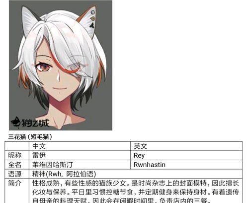 故事情节与角色设定