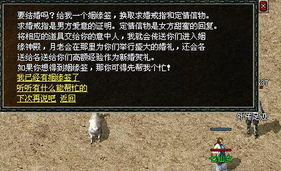 英雄系统与角色选择指南