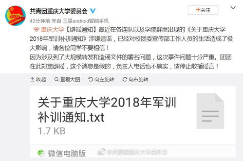 很污的养成游戏手机的市场现状与特点