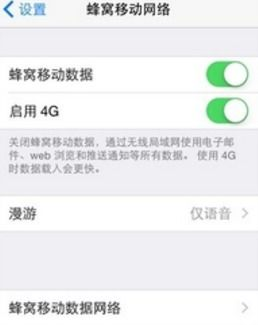 管理苹果手机的移动数据使用