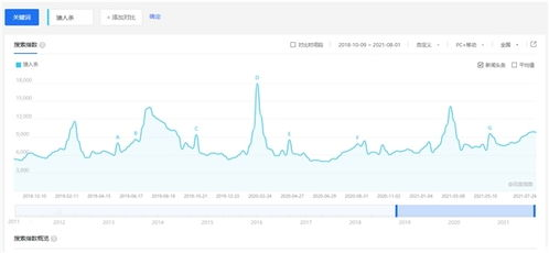 赖子游戏规则与技巧解析
