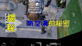 手机吃鸡游戏的基本概念与起源
