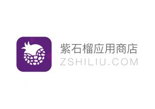官方应用商店的优势与特点