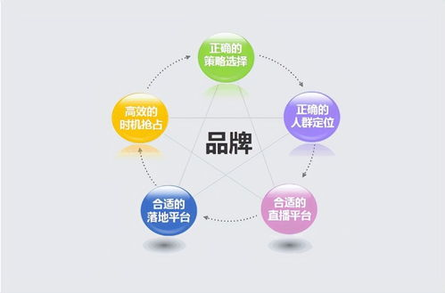 如何与游戏开发商建立有效合作关系