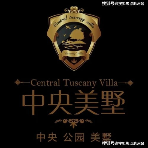 手机丧尸游戏的核心机制与玩法解析