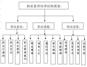 多元职业体系与角色培养