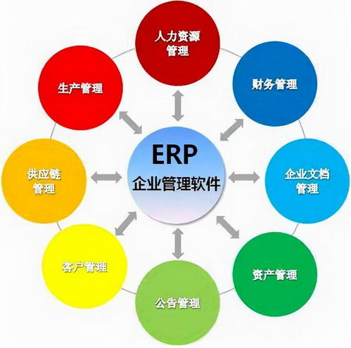 资源管理与经济系统
