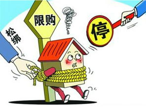 188禁令背景与政策解读