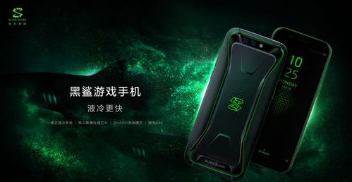 什么是MD游戏及其在手机上的魅力