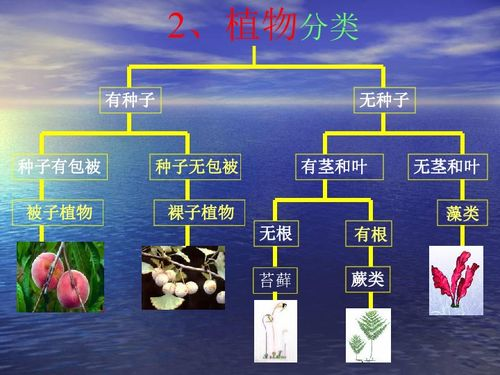 游戏内容与生态系统对比