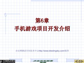 手机游戏项目开发概述