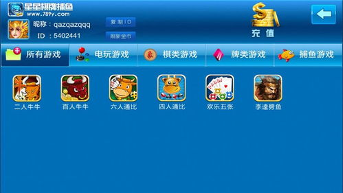 小星星游戏安装与设置指南