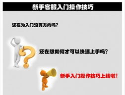 新手入门指南与基础操作