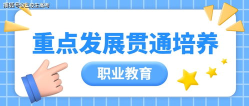 角色培养与职业发展