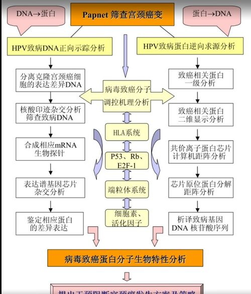 技术操作与技能提升