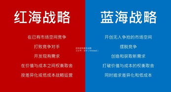 策略技巧与进阶指南