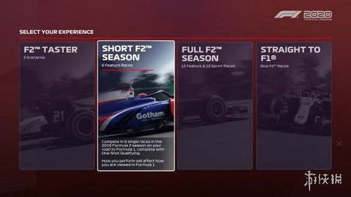 F1游戏手机版概述与特点