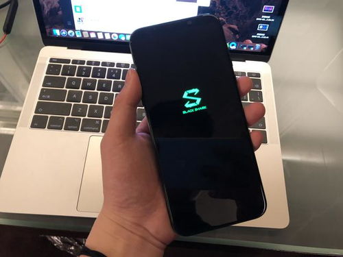 性价比之选:小米黑鲨游戏手机