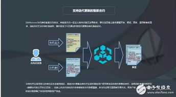 游戏优化与生态系统建设