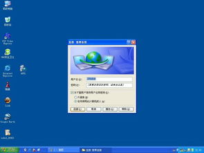 通过模拟器或专用应用运行Flash游戏