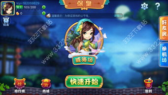 山东保皇游戏简介与特点