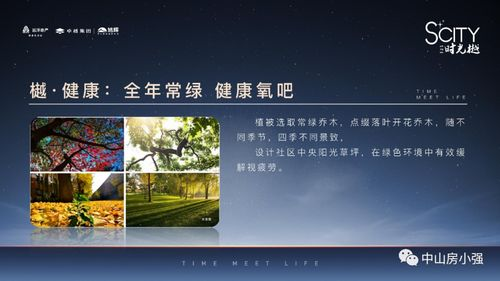 跳高高游戏免费手机版核心玩法解析
