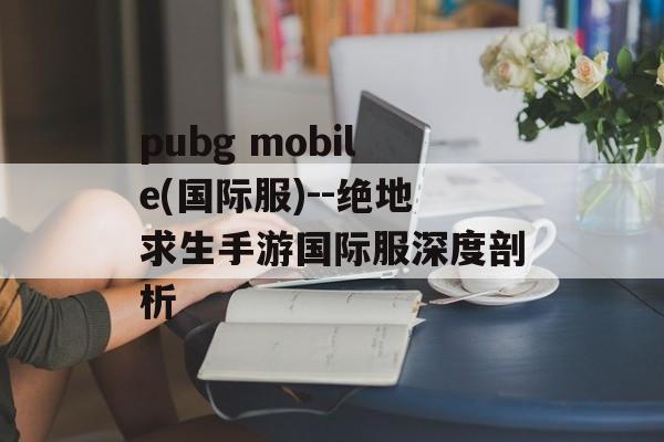 pubg mobile(国际服)--绝地求生手游国际服深度剖析