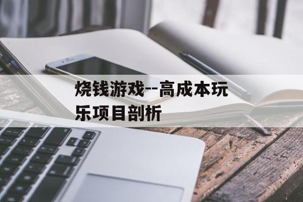 烧钱游戏--高成本玩乐项目剖析