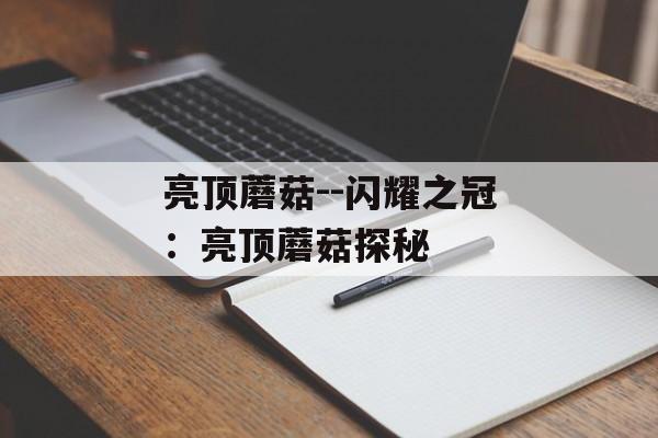 亮顶蘑菇--闪耀之冠:亮顶蘑菇探秘 亮顶蘑菇--闪耀之冠:亮顶蘑菇探秘