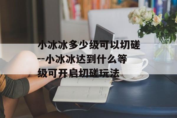 小冰冰多少级可以切磋--小冰冰达到什么等级可开启切磋玩法